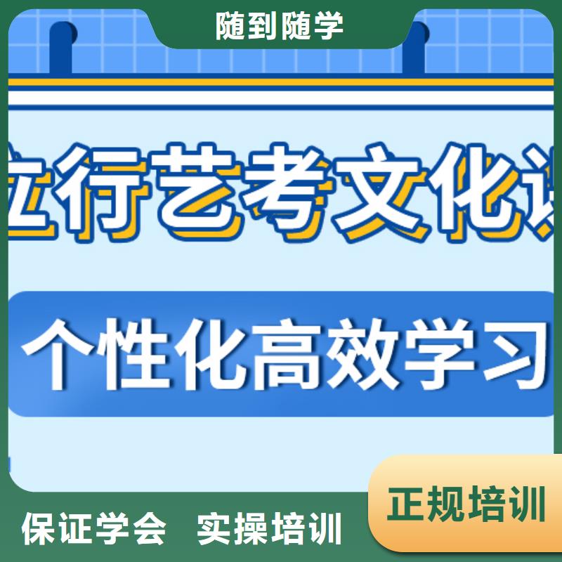 艺考生文化课冲刺_艺考文化课冲刺班理论+实操
