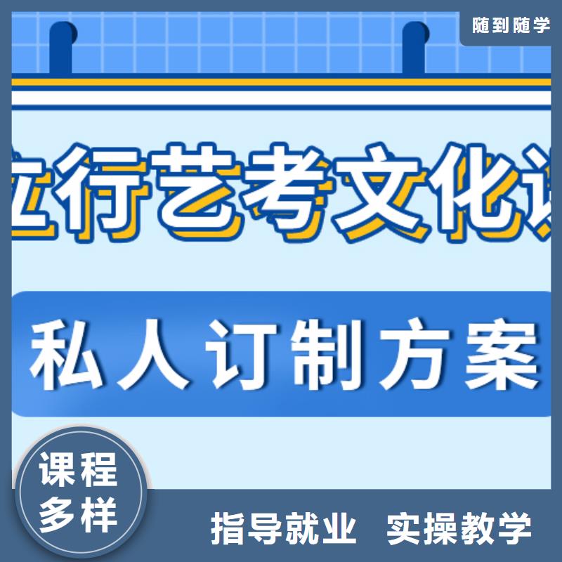 艺考生文化课冲刺艺考复读清北班师资力量强