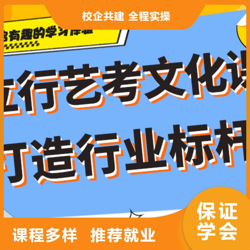艺考文化课集训班-艺考一对一教学学真技术