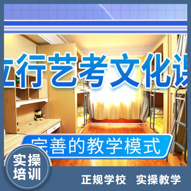 艺考文化课集训班-艺考一对一教学学真技术