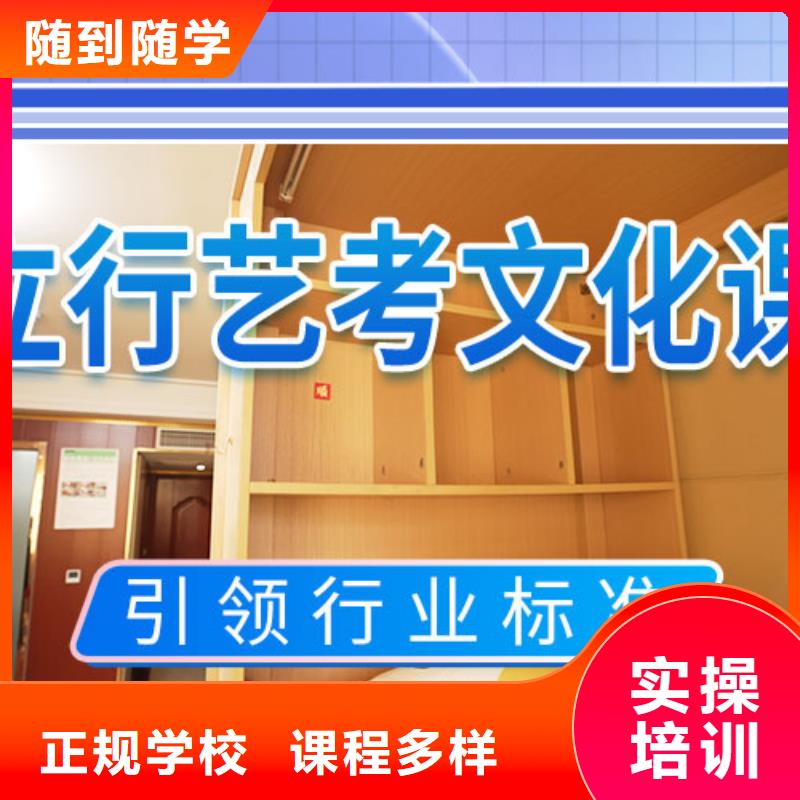 艺考文化课集训班-艺考一对一教学学真技术
