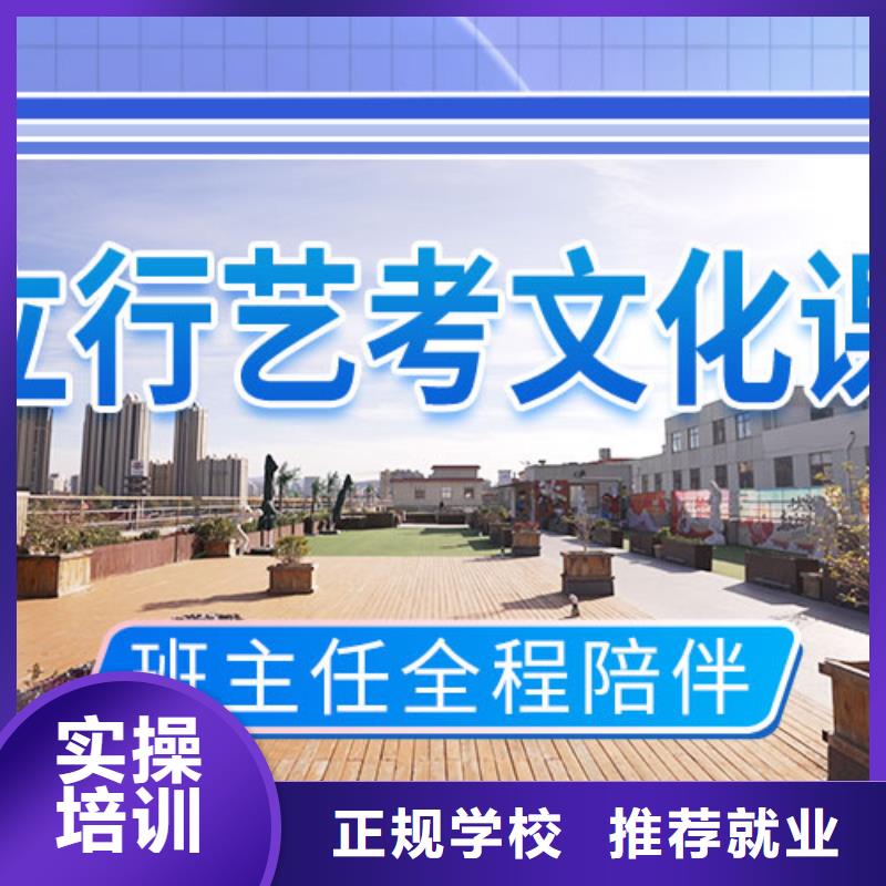 艺考文化课集训班高考志愿填报指导理论+实操