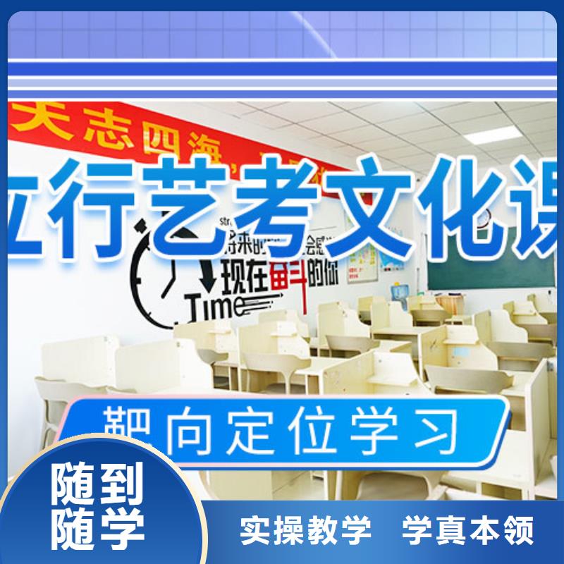 艺考文化课集训班-艺考一对一教学学真技术