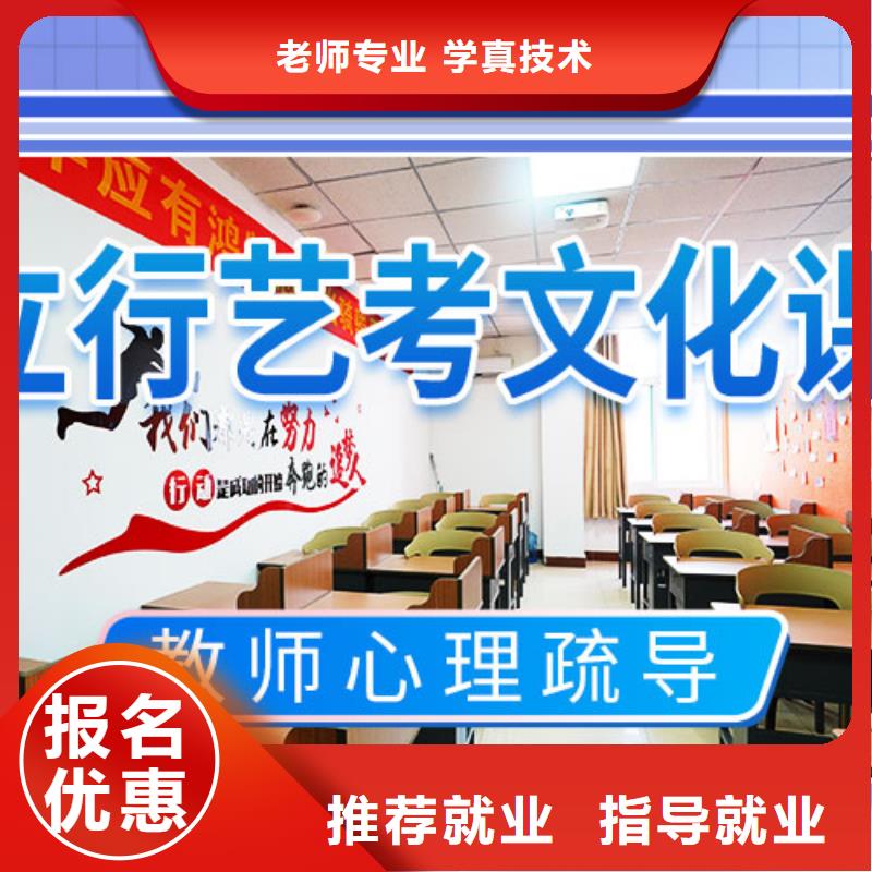 艺考文化课集训班-艺考一对一教学学真技术