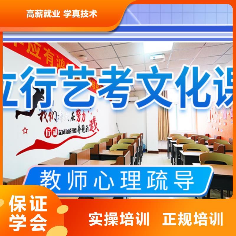 艺考文化课集训班-艺考一对一教学学真技术