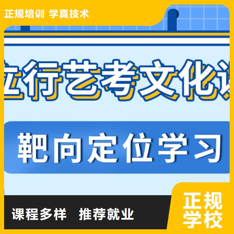艺考文化课集训班艺考一对一教学校企共建
