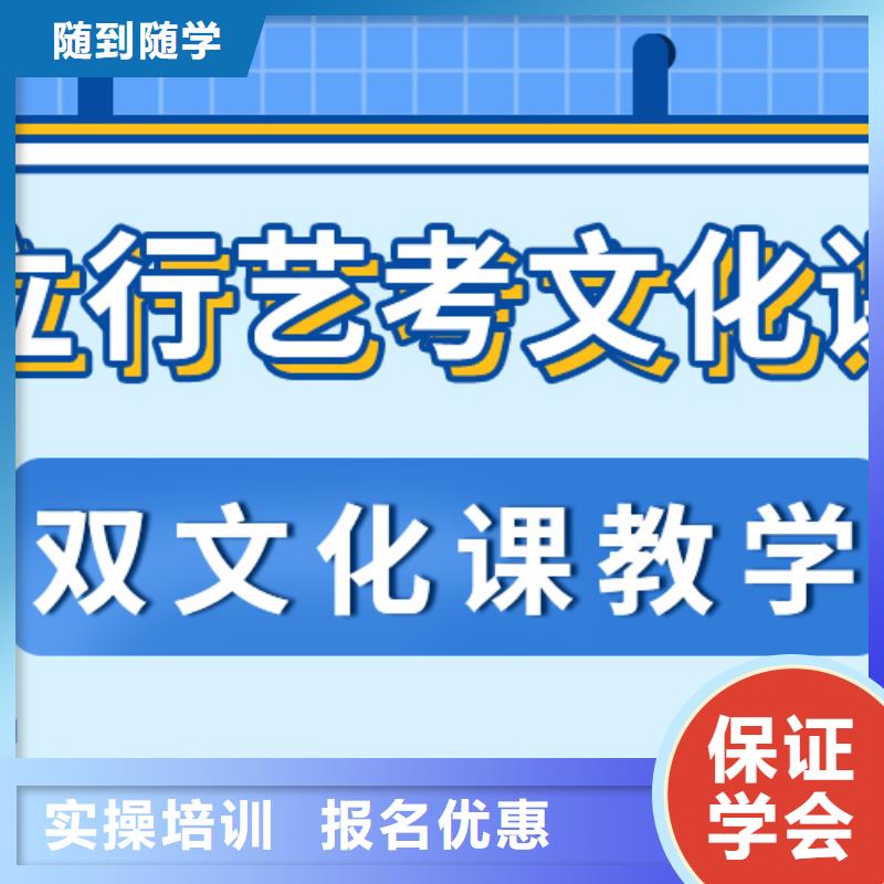 艺考文化课集训班-艺考一对一教学学真技术
