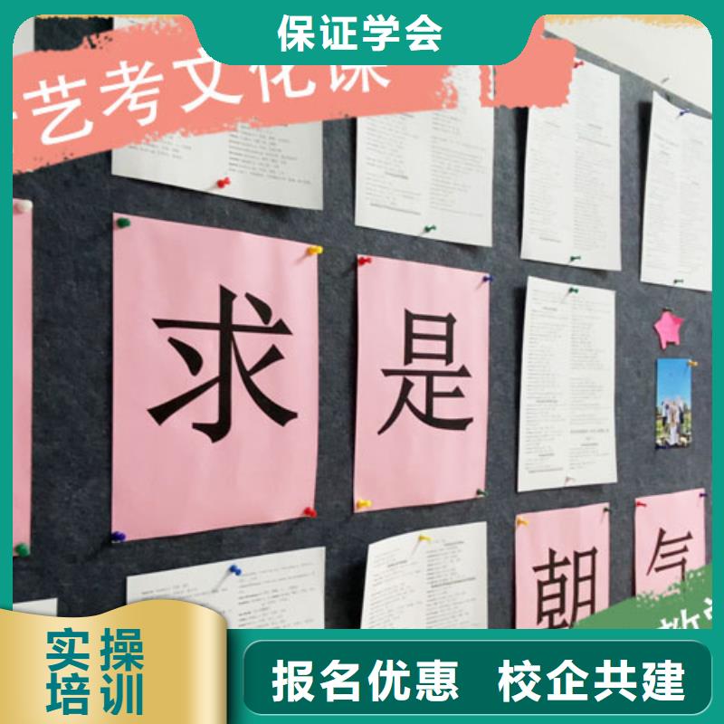艺考文化课集训班-艺考一对一教学学真技术