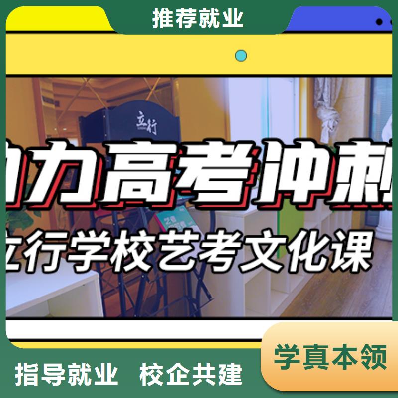 艺考文化课辅导美术生文化课培训老师专业