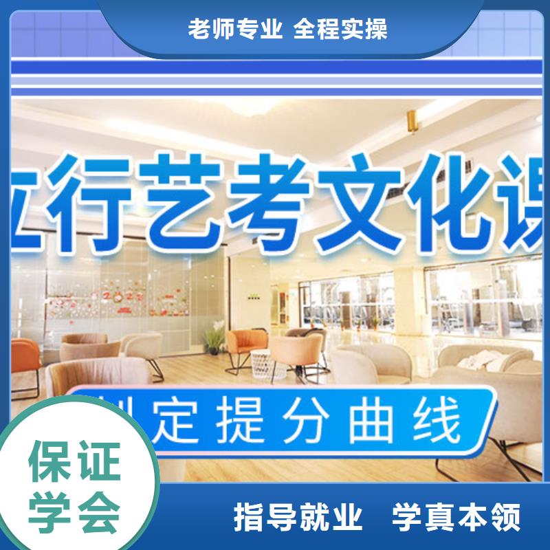 艺考文化课补习高考冲刺补习老师专业