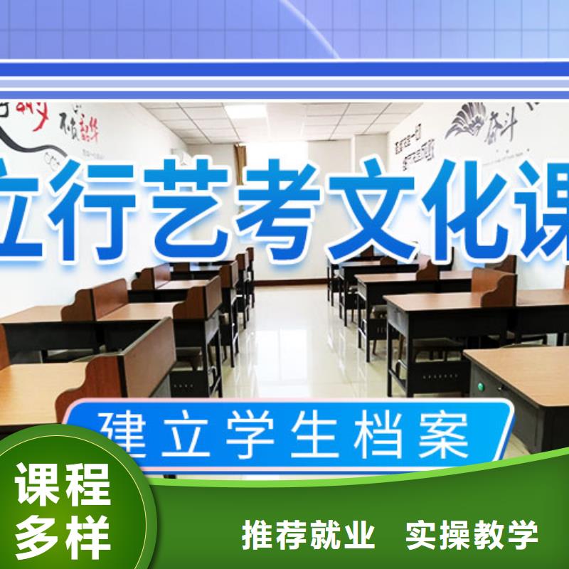 艺考文化课补习高考冲刺补习老师专业