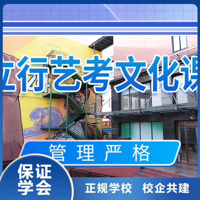 艺考文化课集训,艺考复读清北班学真技术