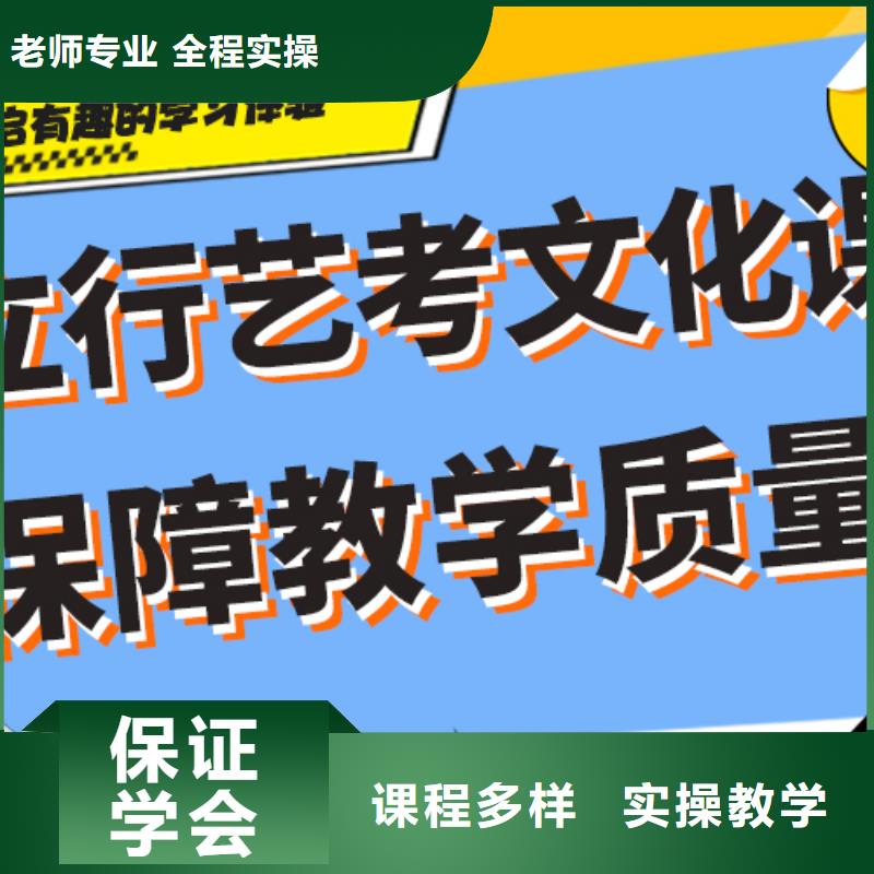 艺术生文化课培训机构价格强大的师资团队