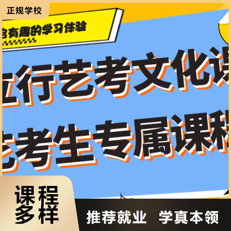 艺术生文化课补习机构好不好艺考生文化课专用教材