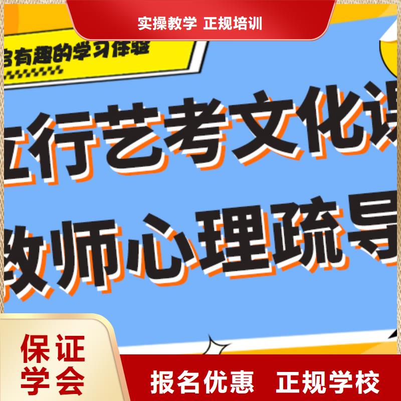 艺考生文化课培训补习有哪些定制专属课程