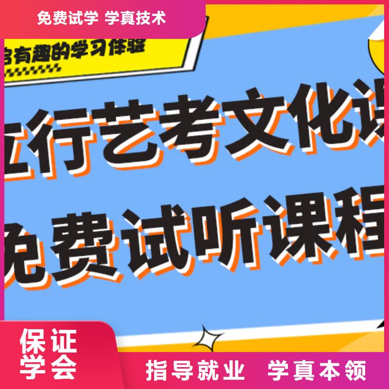 艺术生文化课培训补习哪里好定制专属课程