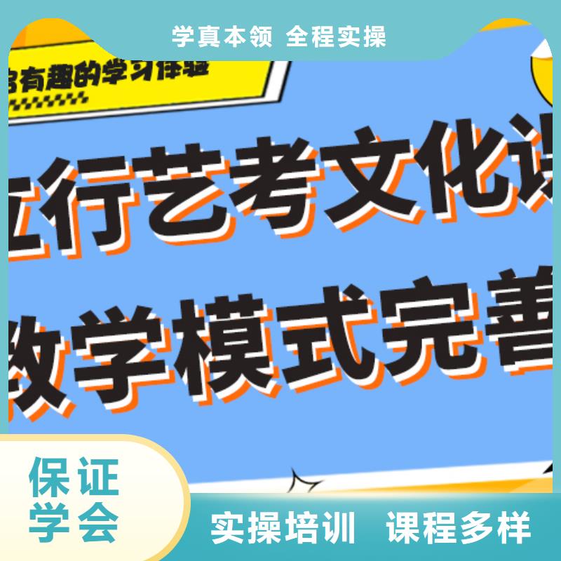 艺术生文化课补习学校排行艺考生文化课专用教材