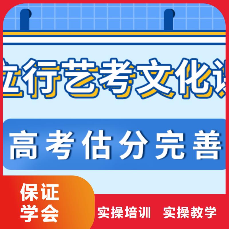 艺考文化课集训【高中一对一辅导】师资力量强