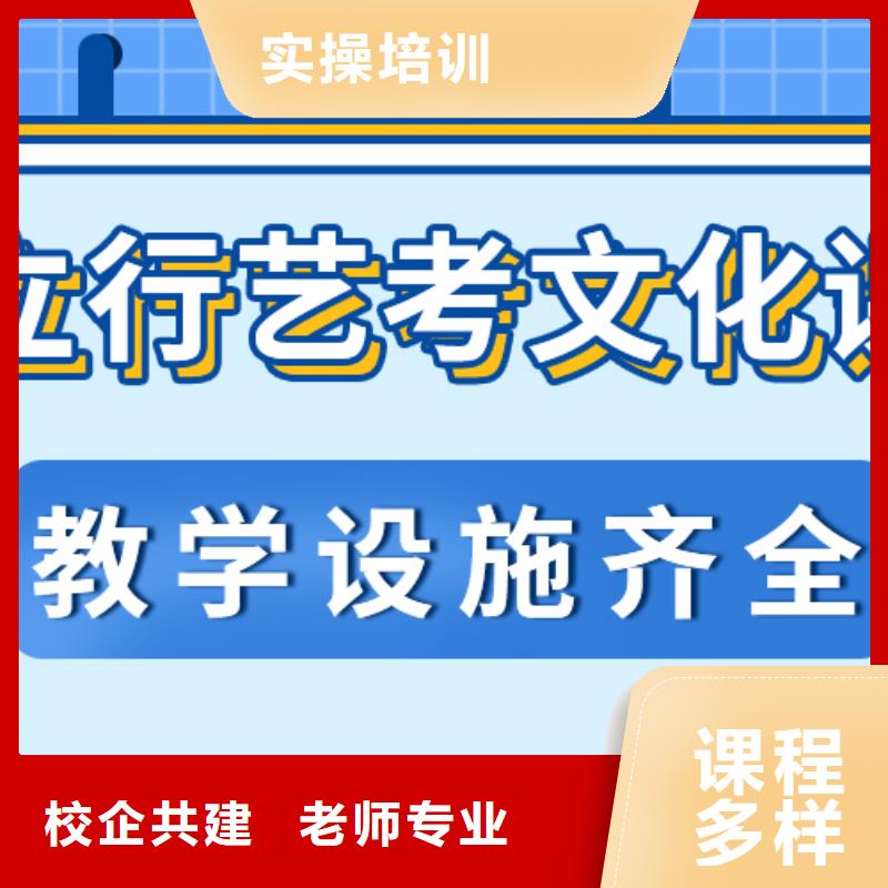 艺术生文化课补习学校排行艺考生文化课专用教材