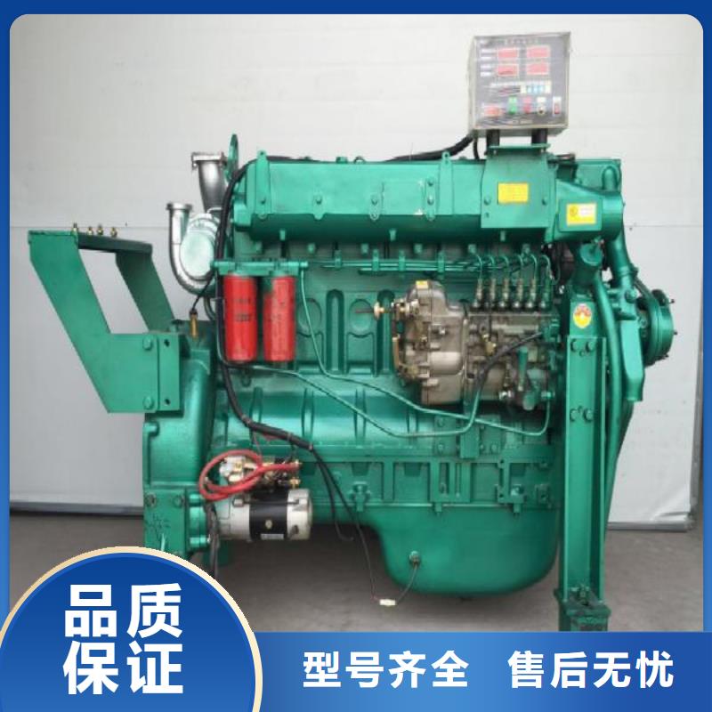 #292F双缸风冷柴油机#-价格实惠