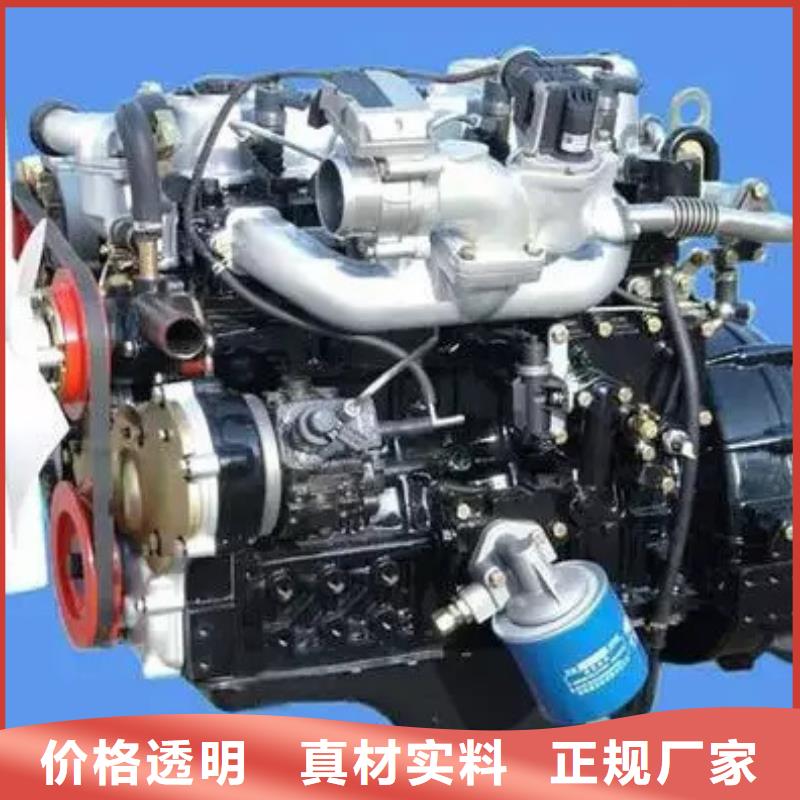 292F双缸风冷柴油机销售公司地址