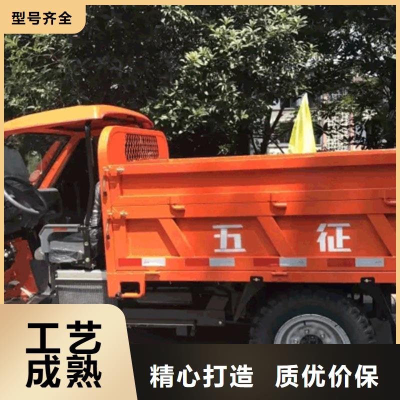 优质瑞迪通三轮车的当地厂家