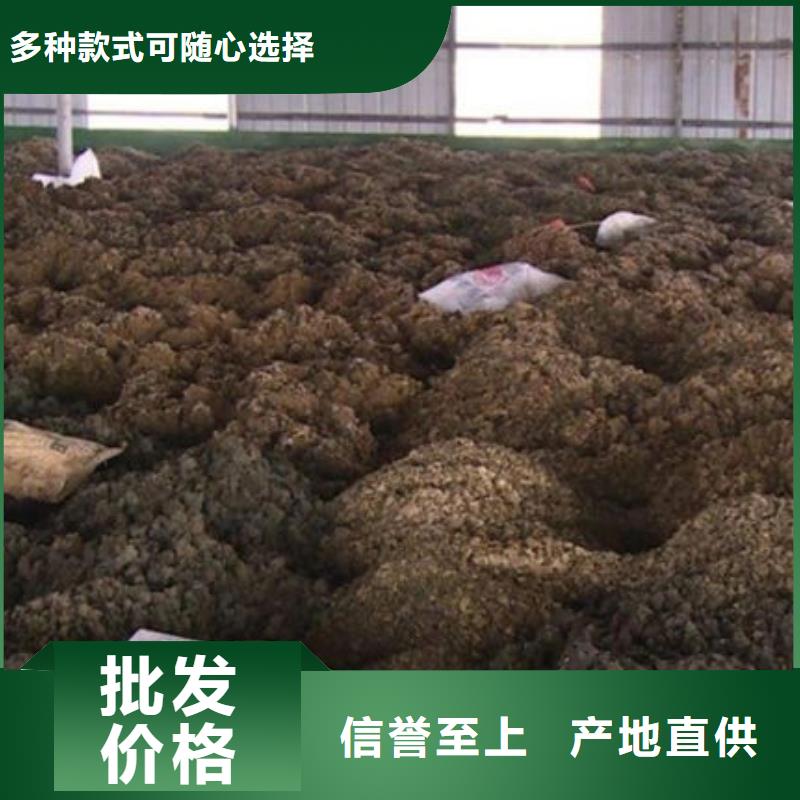 含铜泥回收太阳能光伏组件出价高