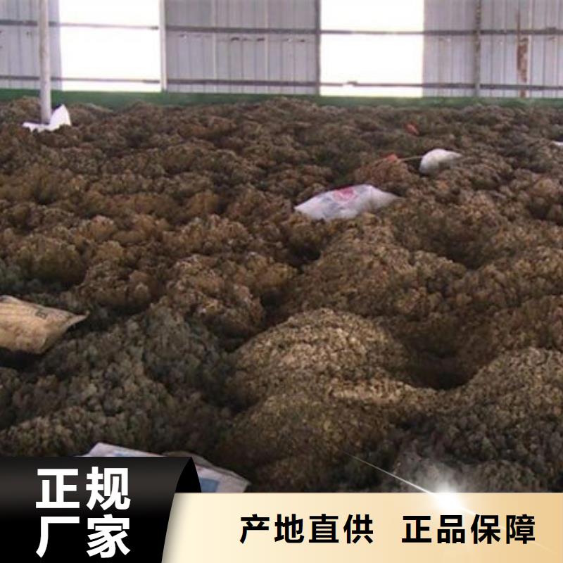 含铜泥回收废旧光伏板实力强