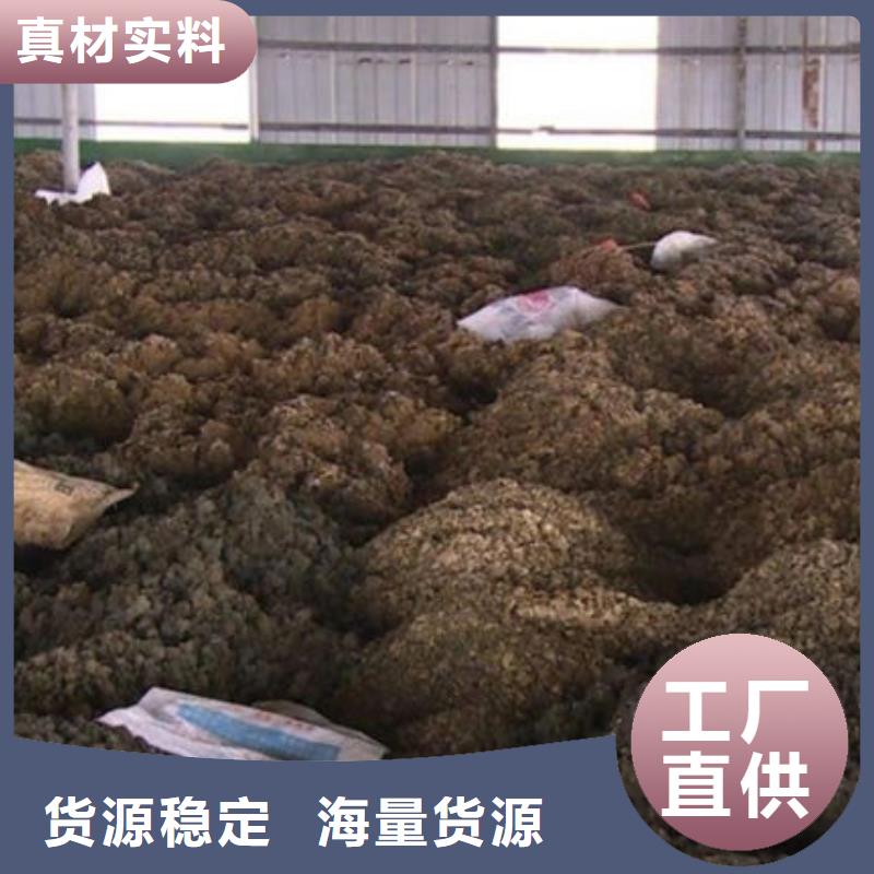 【含铜泥光伏板回收上门估价】