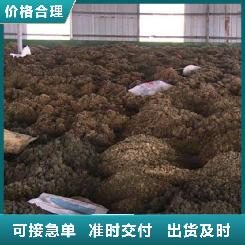 【含铜泥回收光伏板价格合理】