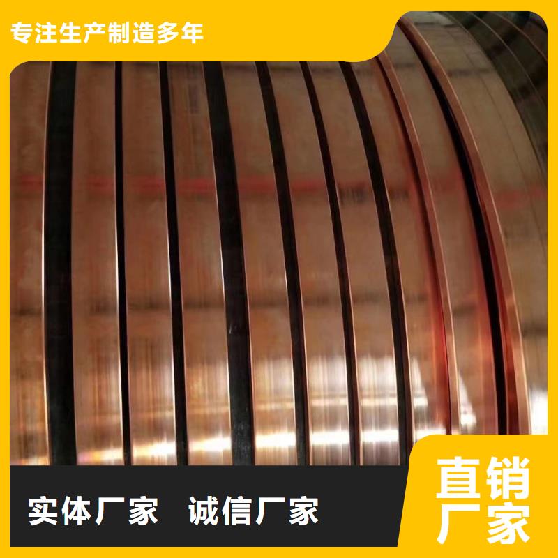接地紫铜排型号
