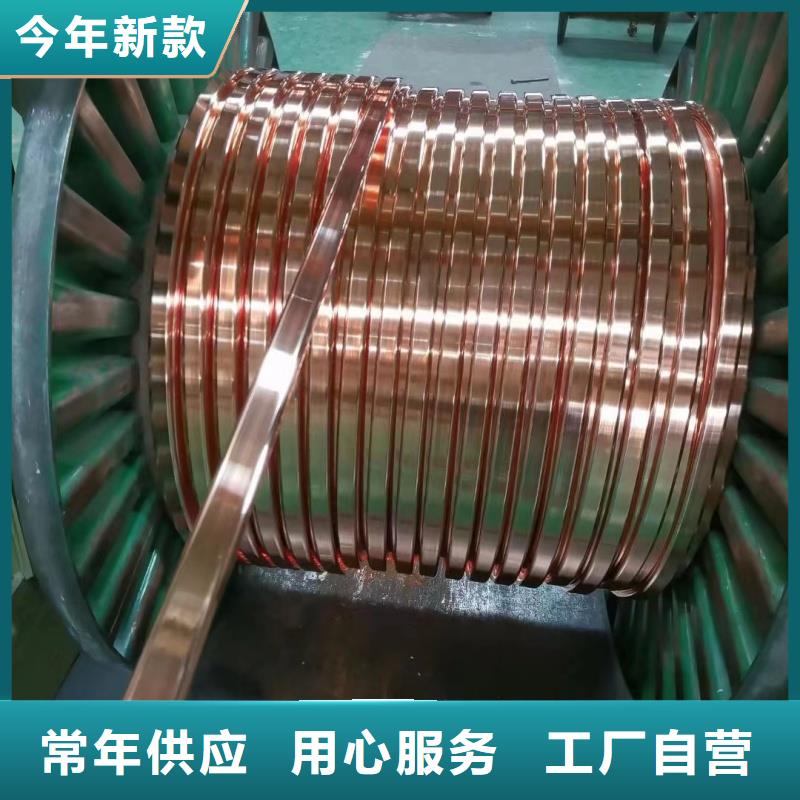 紫铜排镀锡规格