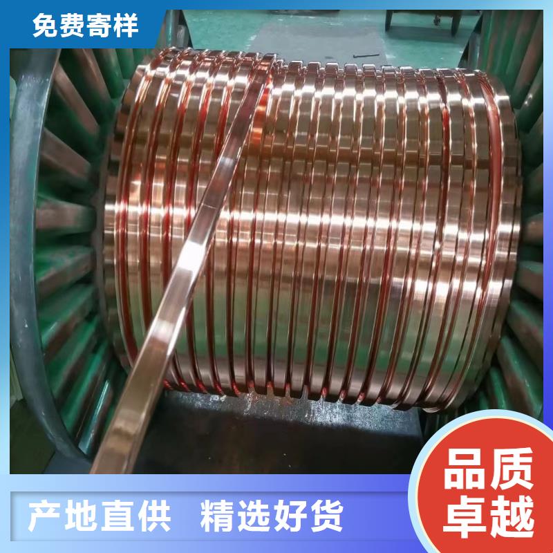 紫铜排闪电发货