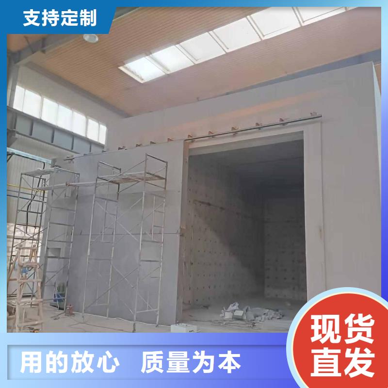 探伤室防护门产品细节