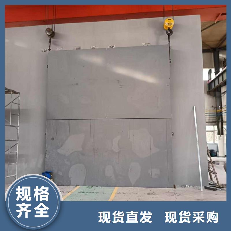 探伤室防护门来图定制