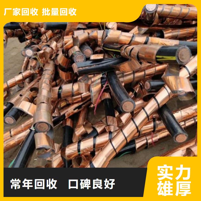 阳澄湖镇回收废旧电缆欢迎咨询