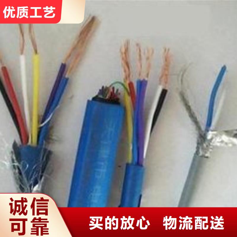 【电线电缆】PTYA23电缆满足客户需求