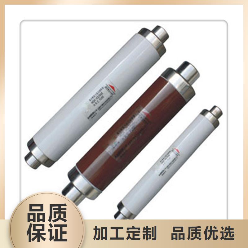 XRNP1-12/2A高压限流熔断器