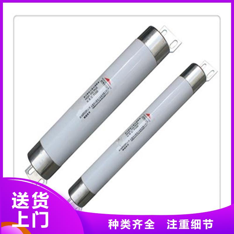 XRNP1-24KV/1A高压PT熔管