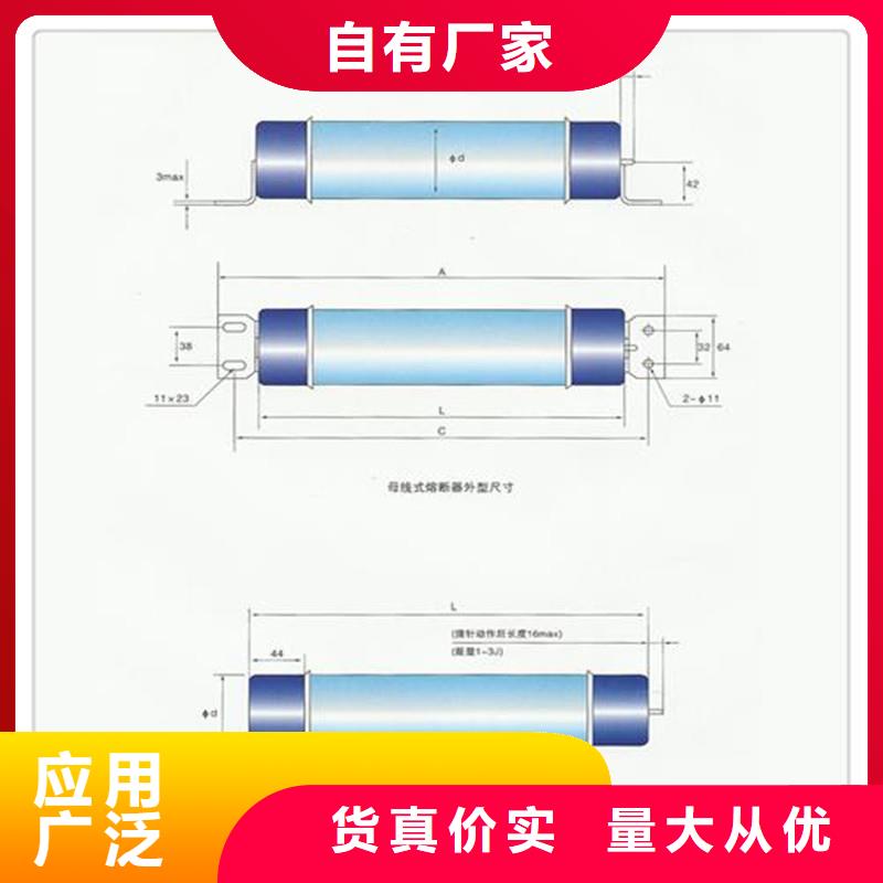 XRNP1-24KV/1A高压PT熔管