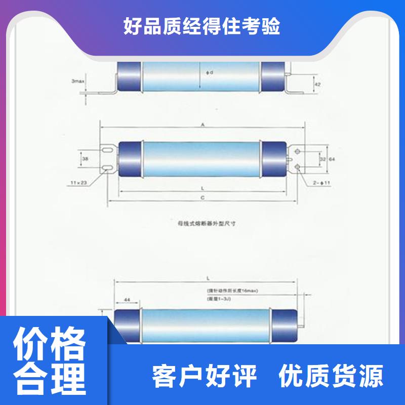 RW10-35/10A限流熔断器