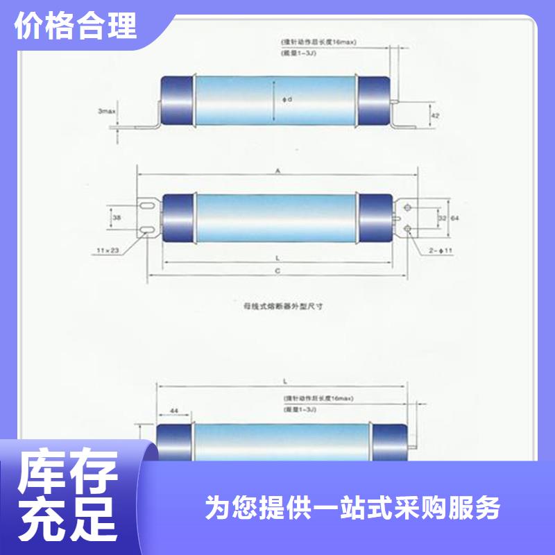 XRNM-10/160A限流熔断管樊高