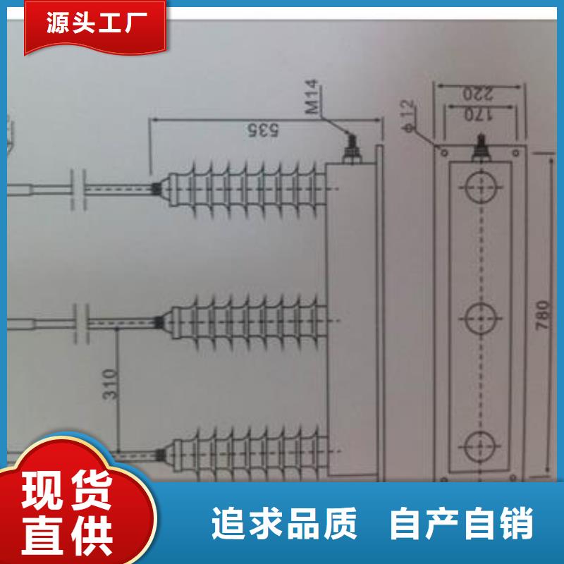 JS-85避雷器计数器