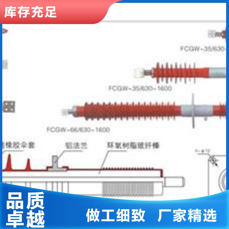 CWW-10/3150A高压套管代理