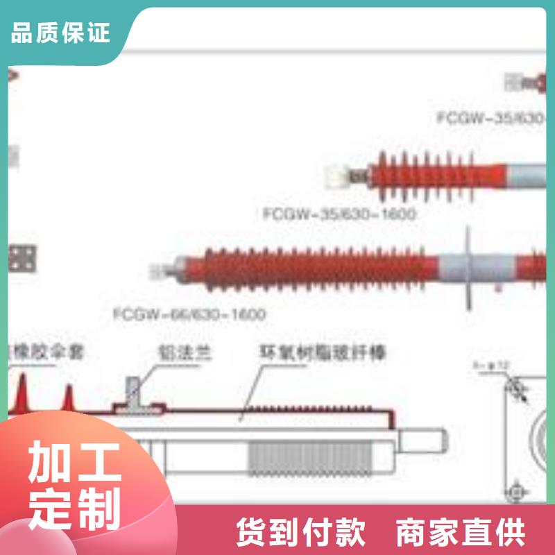 CWW-35/2500A高压穿墙套管