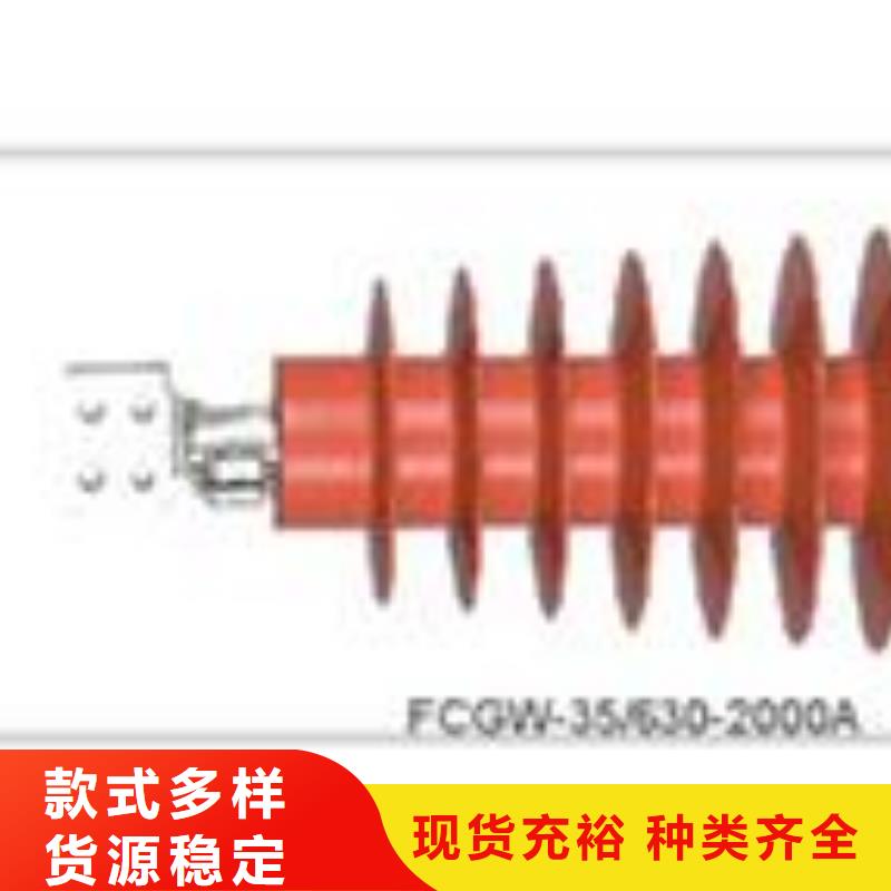 CWWB-10/630A高压套管