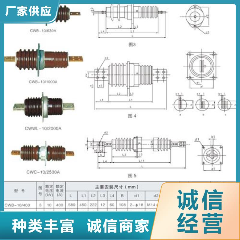 CWWC-20/630A高压穿墙套管