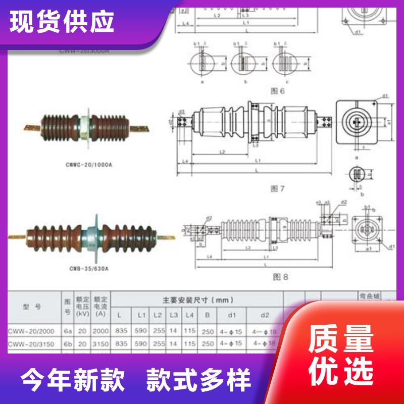 CWWC-10/1600A高压穿墙套管樊高