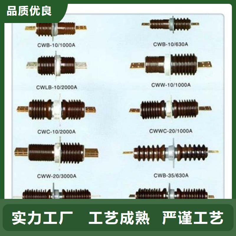 CWLB-40.5/630A陶瓷高压托管