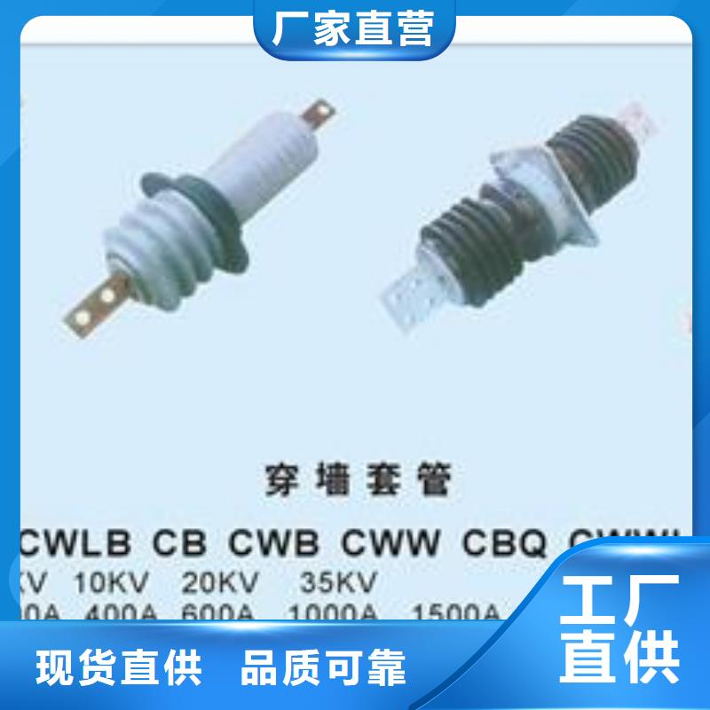 CWLB-10/630A高压穿墙套管